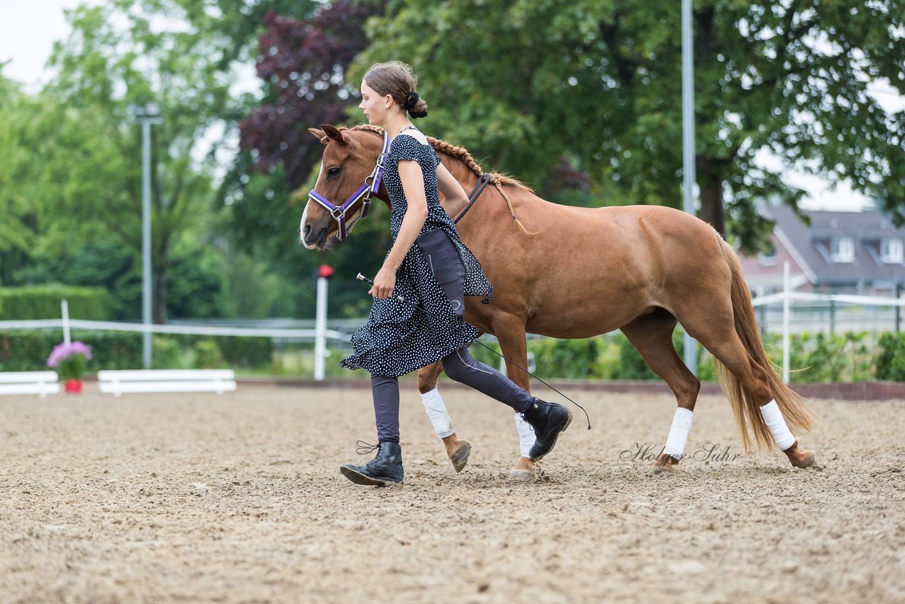 Bild 136 - Pony Akademie Turnier